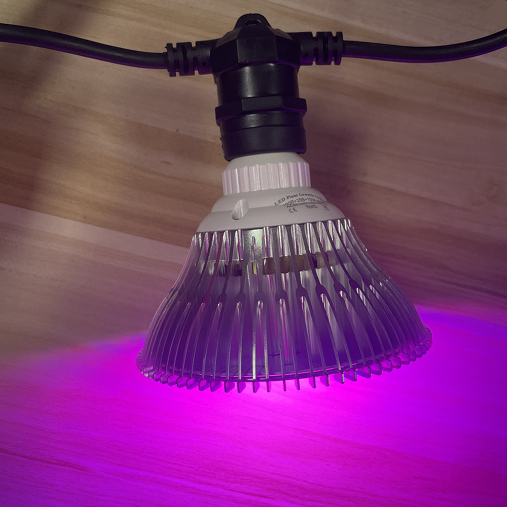 Cabo de LED de 10M à prova d'á - Outdoor Power Outlet avaliação e preço